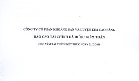 BÁO CÁO TÀI CHÍNH NĂM 2018