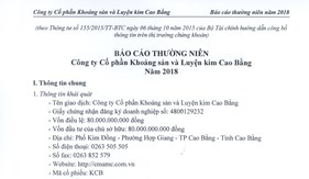 BÁO CÁO THƯỜNG NIÊN NĂM 2018