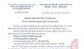 Thuê đơn vị luyện Thiếc thỏi năm 2021