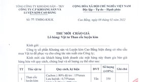 Thư mời chào giá lô hàng: Vật tư Than cốc luyện kim