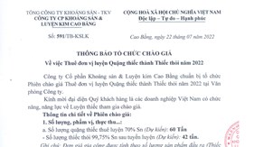 Thông báo tổ chức chào giá về việc Thuê đơn vị luyện Quặng thiếc thành Thiếc thỏi năm 2022