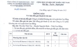 THÔNG BÁO VV BÁN ĐẤU GIÁ THANH LÝ TÀI SẢN XE Ô TÔ TỰ ĐỔ