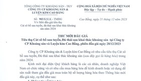Mời đấu giá tiêu thụ Cát sô bồ sau tuyển, đá thải sau khai thác khoáng sản năm 2024