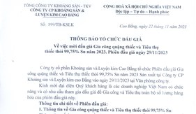TB tổ chức đấu giá Về việc mời đấu giá Gia công quặng thiếc và tiêu thụ thiếc thỏi 99,75%