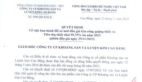 QĐ Về việc ban hành Hồ sơ mời đấu giá Gia công quặng thiếc và Tiêu thụ thiếc thỏi 99,75% Sn năm 2023