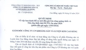 QĐ Vv ban hành Hồ sơ mời đấu giá Gia công quặng thiếc và Tiêu thụ thiếc thỏi 99,75% Sn năm 2024( Phiên đấu giá ngày 13/03/2024)