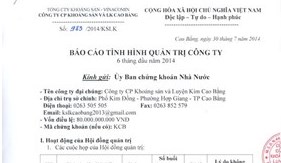 Báo cáo tình hình quản trị Công ty 6 tháng đầu năm 2014