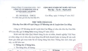 Thư mời chào giá Tiêu thụ Fero Silic 45% tại Công ty