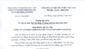NGHỊ QUYẾT VV TỔ CHỨC ĐẠI HỘI ĐỒNG CỔ ĐÔNG TN NĂM 2023