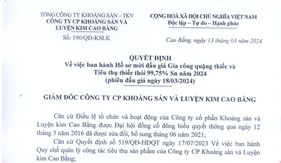 QĐ Vv ban hành Hồ sơ mời đấu giá Gia công quặng thiếc và Tiêu thụ thiếc thỏi 99,75% Sn năm 2024 (Phiên đấu giá ngày 18.3.2024)