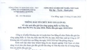 THÔNG BÁO TỔ CHỨC ĐẤU GIÁ(LẦN 02) Vv mời đấu giá Gia công quặng thiếc và Tiêu thụ thiếc thỏi 99,75% Sn năm 2024. Phiên đấu giá ngày 18/3/2024